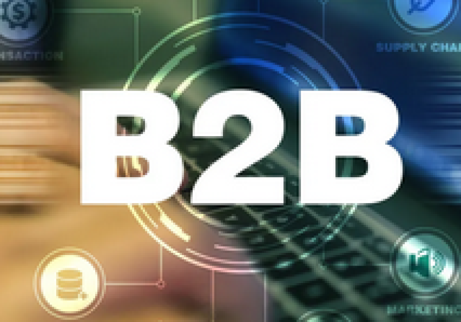 What is B2B Online Market or B2C Marketplace?