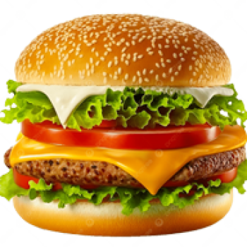 Burger Restaurant in Amritsar | Best Burgers shop in Amritsar near me