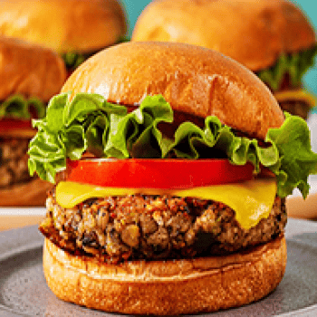 Veg Burger - Mashroom Veg Burger in Dera Baba Nanak | Burger snacks in Dera Baba Nanak