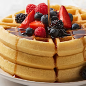 Waffle Restaurants in Amritsar | Best Waffle centre in Amritsar, Ranjit Avenue